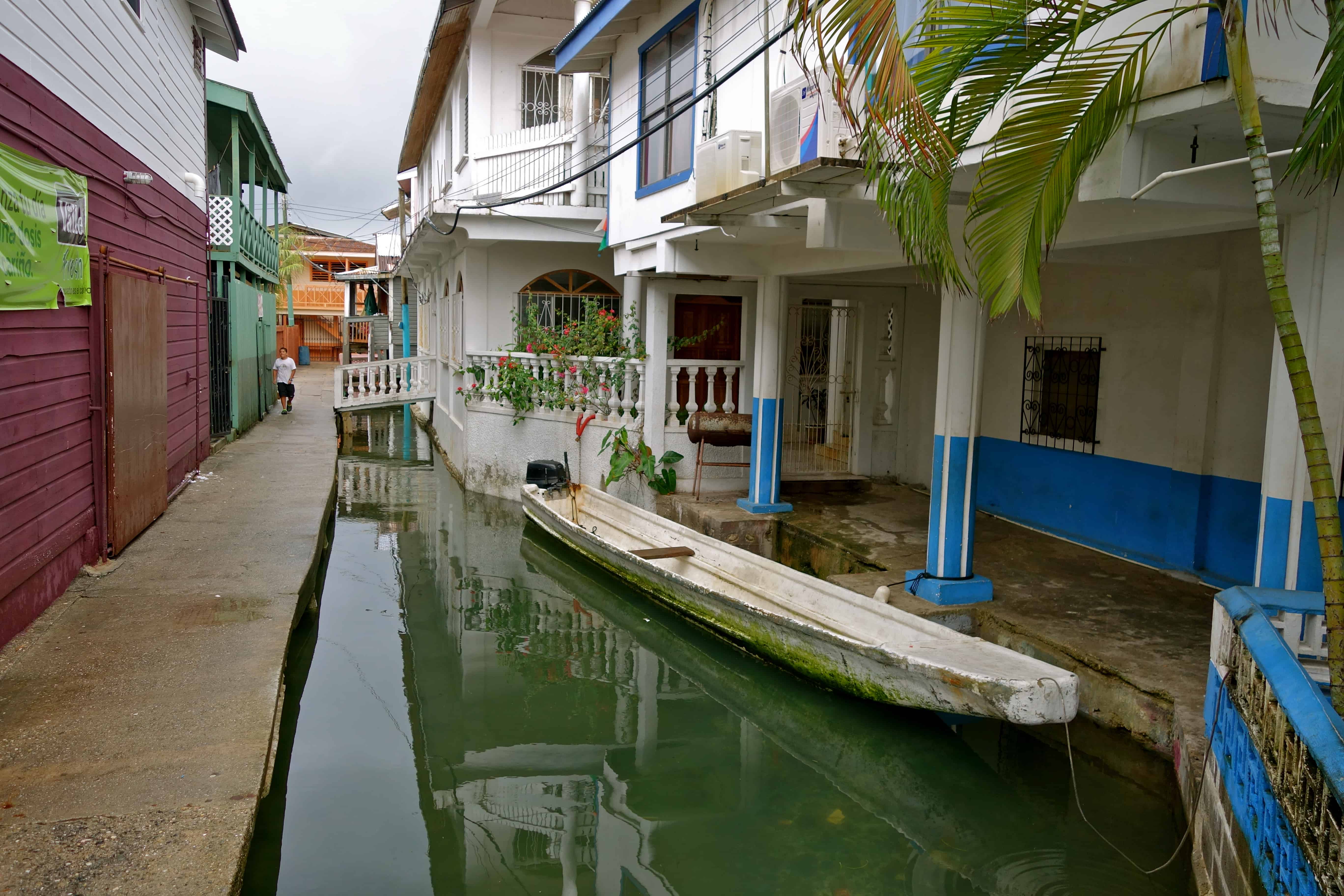 Aliados locales, voluntariado y acción con propósito